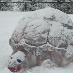 SAM_0579