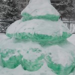 SAM_0580