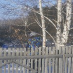 OLYMPUS DIGITAL CAMERA OLYMPUS DIGITAL CAMERA