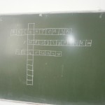 OLYMPUS DIGITAL CAMERA OLYMPUS DIGITAL CAMERA