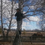 OLYMPUS DIGITAL CAMERA OLYMPUS DIGITAL CAMERA