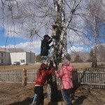 OLYMPUS DIGITAL CAMERA OLYMPUS DIGITAL CAMERA