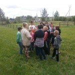 OLYMPUS DIGITAL CAMERA