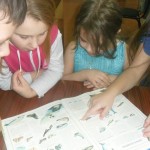 -wTGtdAPkzw -wTGtdAPkzw