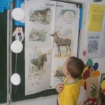 OLYMPUS DIGITAL CAMERA OLYMPUS DIGITAL CAMERA